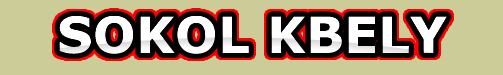 Kbely basket